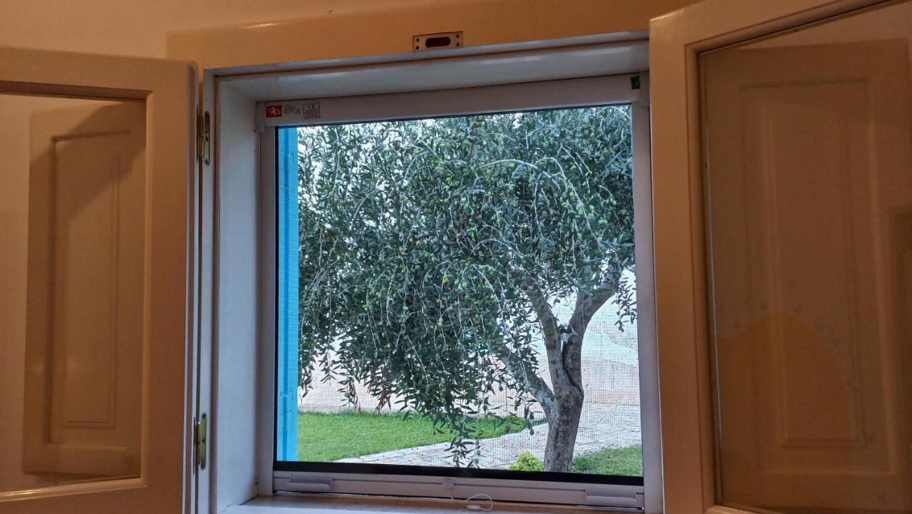 Villino Tronchetto Bianco Bed & Breakfast Mola di Bari Eksteriør bilde