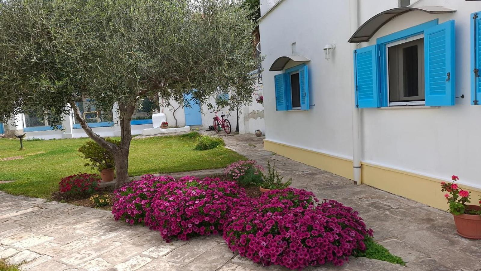 Villino Tronchetto Bianco Bed & Breakfast Mola di Bari Eksteriør bilde